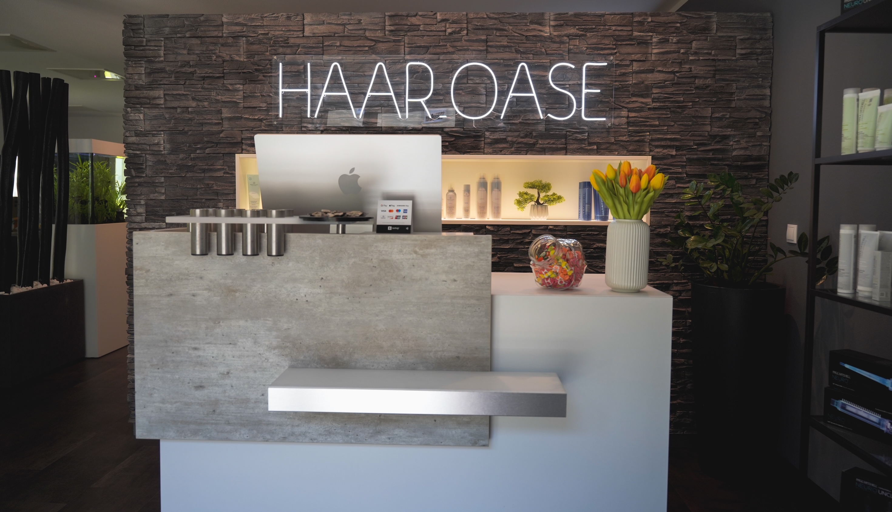 haaroase Eingangsbereich